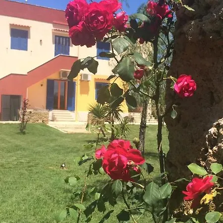 Terra E Colori Apartment